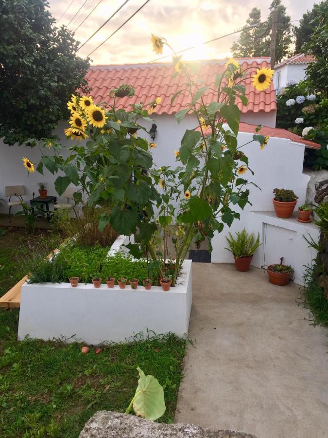 The Azores Homestead - Terceira Santa Barbara  Extérieur photo