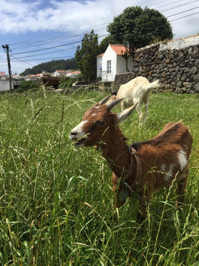 The Azores Homestead - Terceira Santa Barbara  Extérieur photo